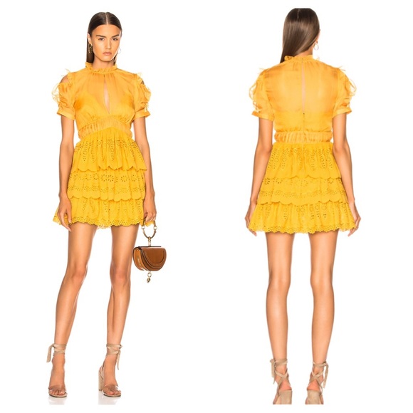 Self-Portrait Dresses & Skirts - Privacy Please Embroidered Chiffon Tiered Dress